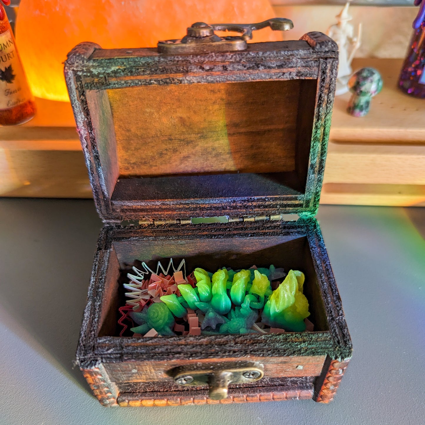 Mystery Dragon Hatchlings
