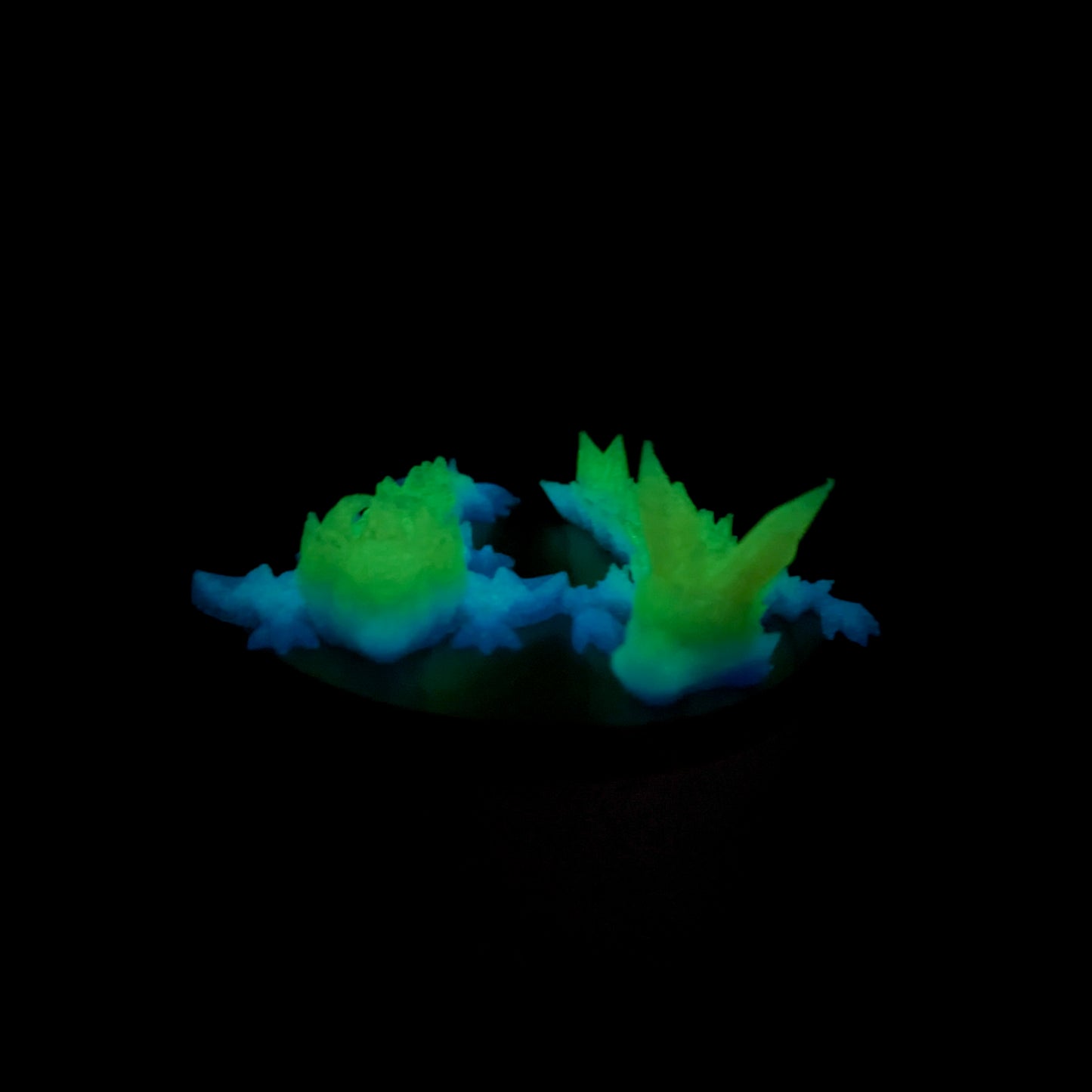 Mystery Dragon Hatchlings